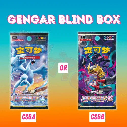 Pokemon TCG: Charizard Blind Box (Chinese)